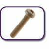 PEEK® pan head screw [180] (180032570409)